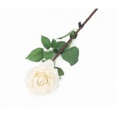ROSE LONG STEM ARTIFICIAL IVORY