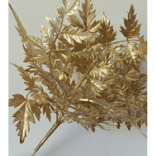 GOLD LEAF EUCALAPTUS FLOWER