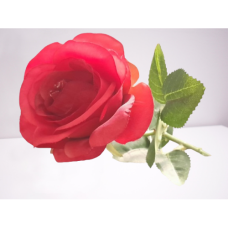 ROSE SINGLE RED 50CM