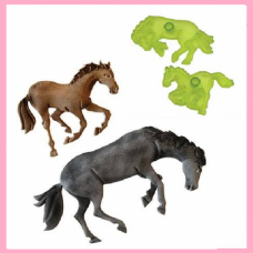JEM WILD HORSES