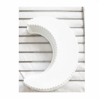 SILICONE MOON MOULD