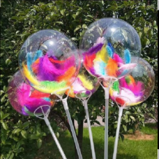 BALLOON WITH FEATHERS