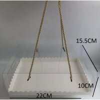 BOX CLEAR RECT + STRING 28.5*22*10CM
