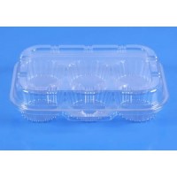 CLAMPSHELL CUP CAKE 6-DIV T555 1'S