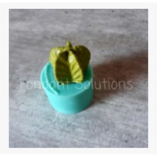 FS NEW CACTUS STAR