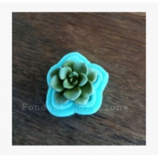FS SUCCULENT SINGLE SS01