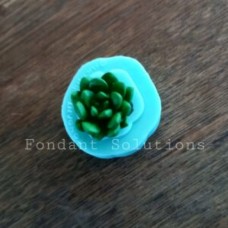 FS SUCCULENT SINGLE SS02