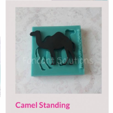 FS CAMEL