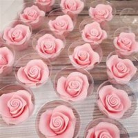 JEM E/ROSES MED 32MM PINK 4'S