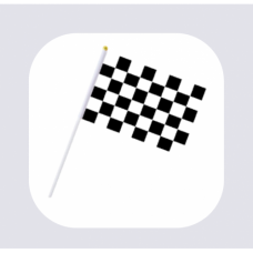 RACING FLAGS
