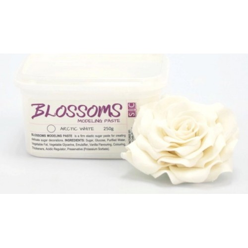 BLOSSOMS MODELING PASTE WHITE 250G
